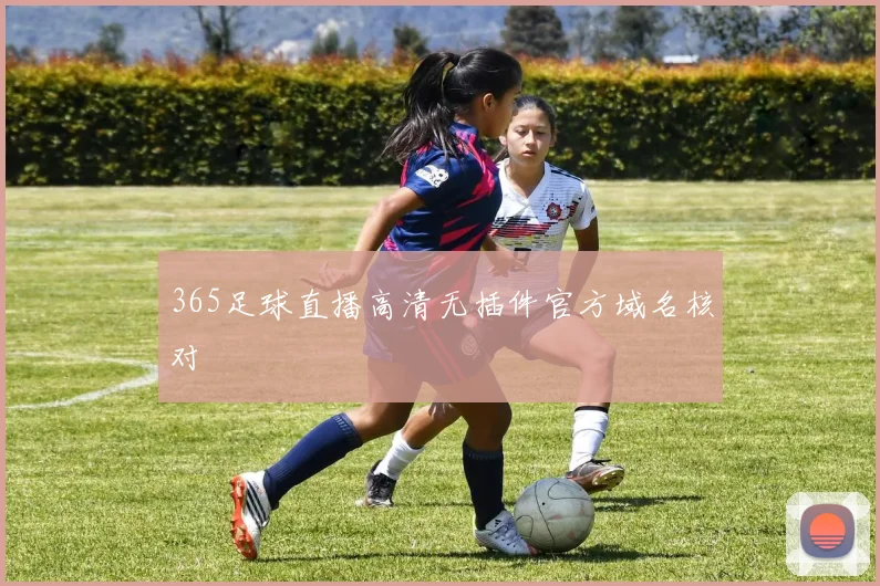 365足球直播高清无插件官方域名核对